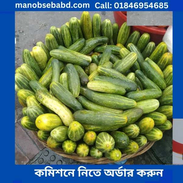 শসা Cumber (shosha) 1 kg